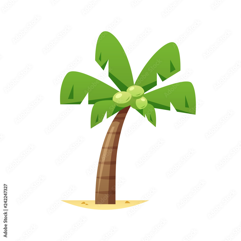 Fototapeta premium Coconut palm tree vector isolated