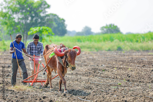 indian farmer working at field