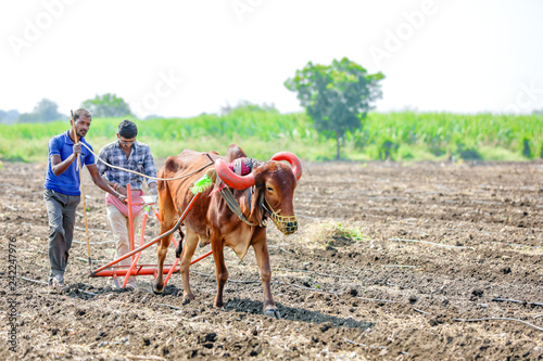 indian farmer working at field