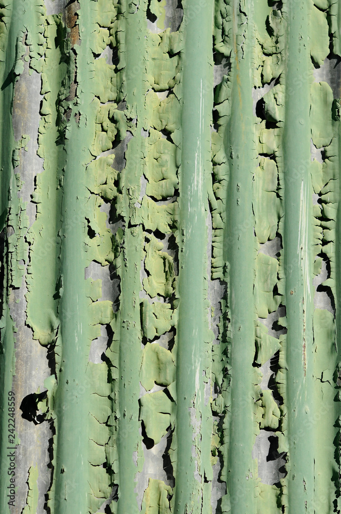 Fototapeta premium 古い緑のトタン壁