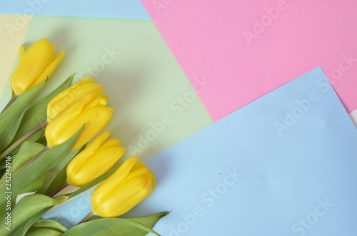Fototapeta Naklejka Na Ścianę i Meble -  Fresh beautiful yellow tulips gift box on colorful background. Spring concept. top view with copy space. Happy mother day, hello spring, 8 march women day
