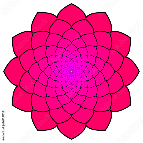 graphic vector illustration of pink flower ornament
