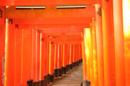 京都伏見の千本鳥居 © sonda0112