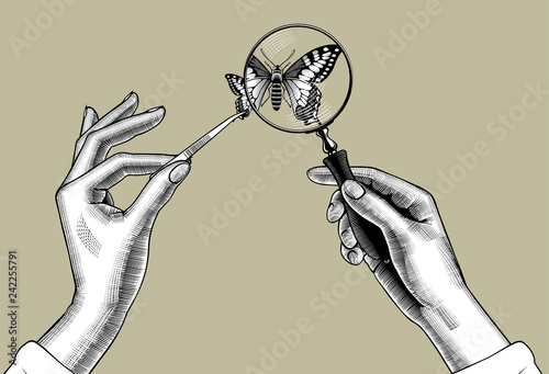 Female hands with a magnifying glass and butterfly holding with tweezers in the fingers