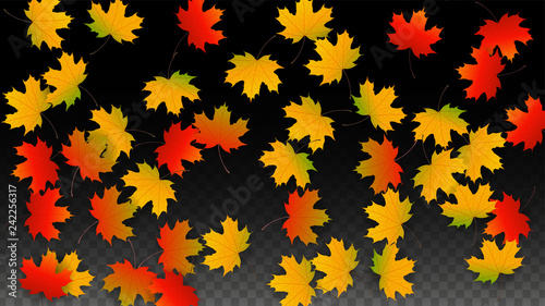September Vector Background with Golden Falling Leaves. Autumn Illustration with Maple Red, Orange, Yellow Foliage. Isolated Leaf on Transparent Background. Bright Swirl. Suitable for Posters.