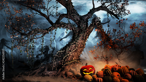 Pumpkins under the tree