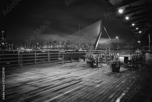 Erasmus Bridge Rotterdam