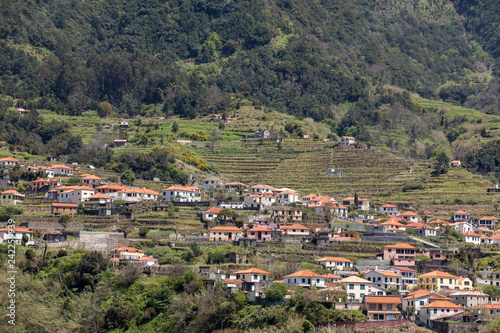  Village and Terrace cultivation in the surroundings of Sao Vicente. North coast of Madeira Island, Portugal © wjarek