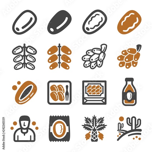 date palm icon set,vector and illustration