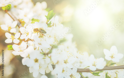 Spring abstract bee flying. © Emoji Smileys People