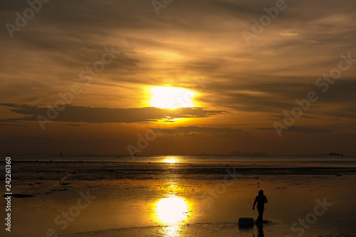 Silhouette of man walking on the beach at sunrise © yingtanthawarak