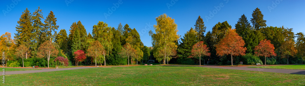 Herbststimmung auf dem Hauptfriedhof in Frankfurt am Main