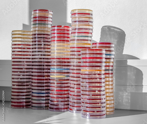 stacked petri dishes photo