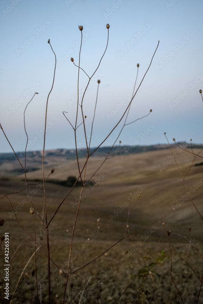 Fototapeta premium Lever de soleil sur le val d'Orcia