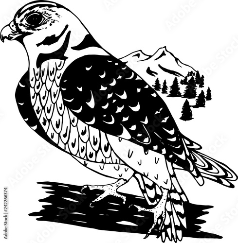 Illustration of a psychedelic falcon in profile with a background of mountains and trees.