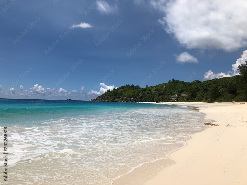 Seychelles Indian Ocean Ans Intendance