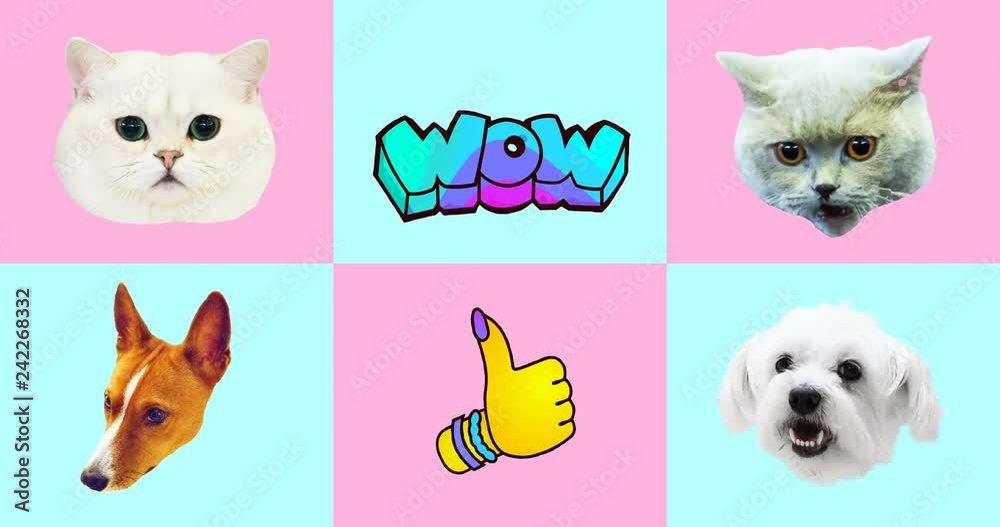 Animation gif set. Funny Animals. Cat and Dog gif faces Stock Video | Adobe  Stock