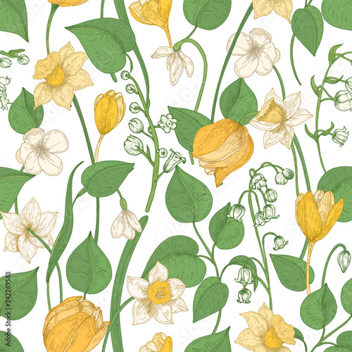 Floral seamless pattern with blooming spring flowers and leaves on white background