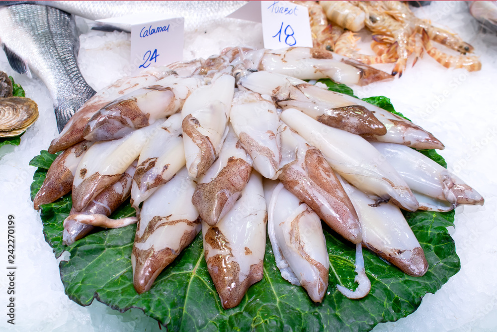 A pile of Fresh squids on a green leaf and ice sold on fish market in Barcelona A pile of Fresh squids on a green leaf and ice sold on fish market in Barcelona