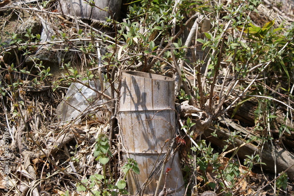 Obraz premium SONY DSC