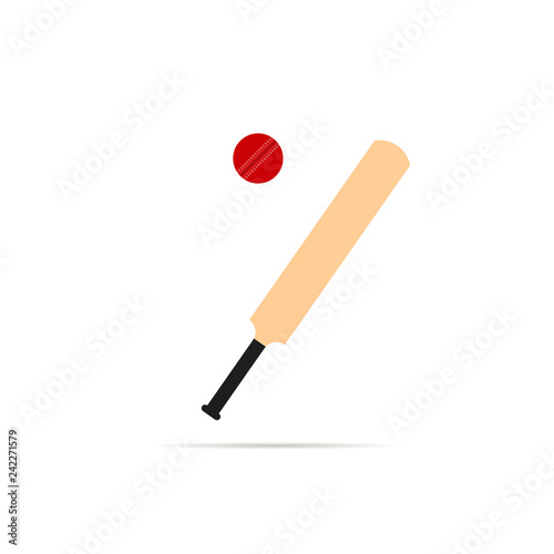 Cricket bat icon
