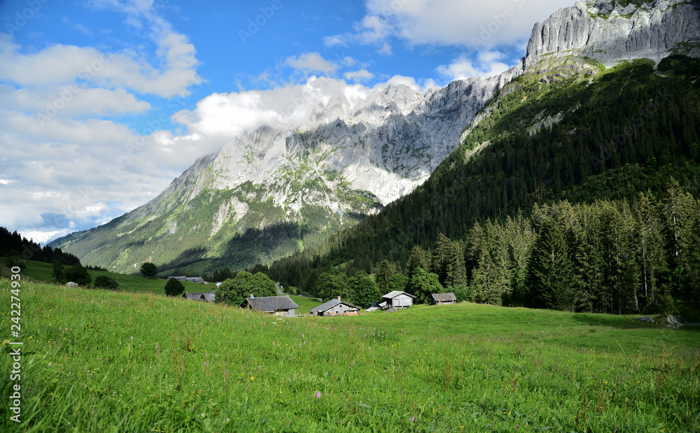 Die Schwarzwald Alp 