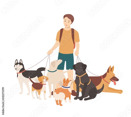 Happy boy walking his purebred dogs on leash. Young smiling guy standing with domestic animals. Cute funny pet owner isolated on white background. Colorful flat cartoon vector illustration.