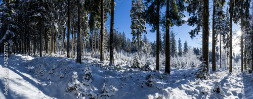 Snow-covered Forest. Schneebedeckter Wald.