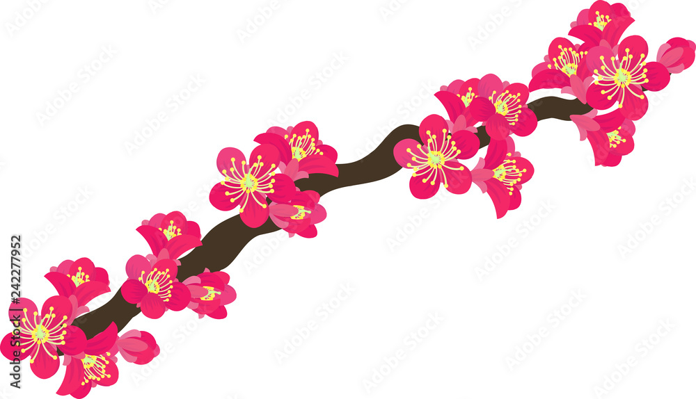 赤い梅の花のイラスト Stock Vector Adobe Stock