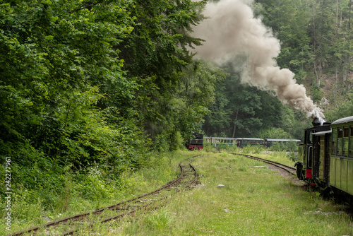 July 4, 2018 - Mocanita Steam Train in Vaser Valley, Bucovina, Romania