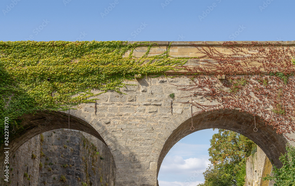 overgrown bridge detail