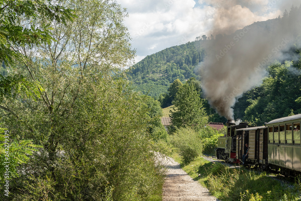 July 4, 2018 - Mocanita Steam Train in Vaser Valley, Bucovina, Romania July 4, 2018 - Mocanita Steam Train in Vaser Valley, Bucovina, Romania