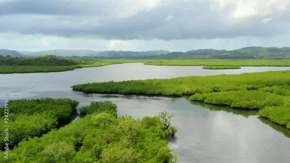 mangrove in aerial view, philippines mangrove in aerial view, philippines