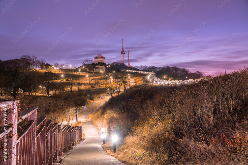 Obraz premium Twilight namsan park,seoul south korea.