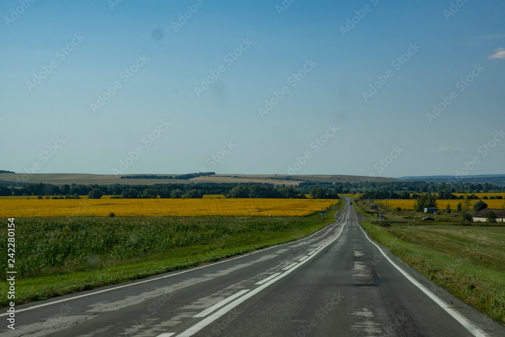 expanse, distance, field, road, highway, hills, forest, trees, blue, sky, nature, landscape, travel