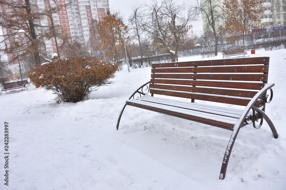 snowy bench in the winter park
