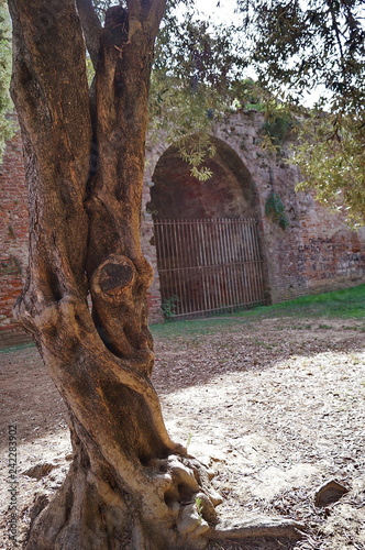 Ancient walls of Empoli Resistance square, Tuscany Italy photo