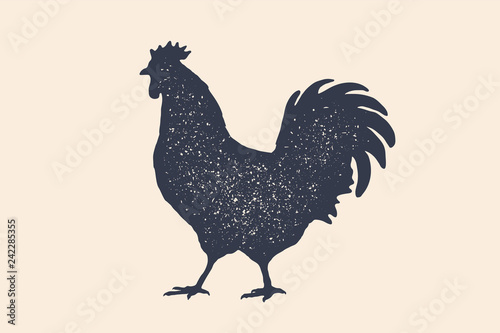 Rooster, chicken, hen, poultry, silhouette. Vintage logo, retro print, poster