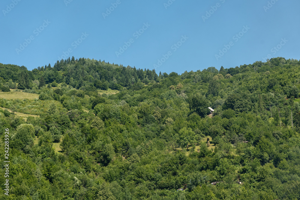 Landscape in Vaser Valley, Bucovina, Mocanita Steam Train, Romania