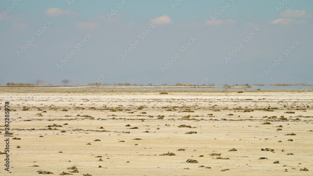 Focused shot of the mirage in the Great Salt Desert, Middle East. A heat shimmer distorts the horizon. Focused shot of the mirage in the Great Salt Desert, Middle East. A heat shimmer distorts the horizon.