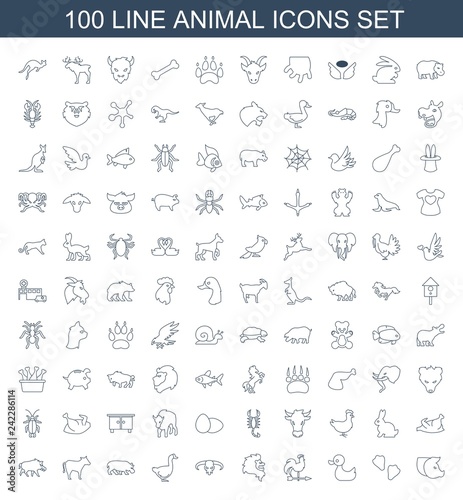 animal icons