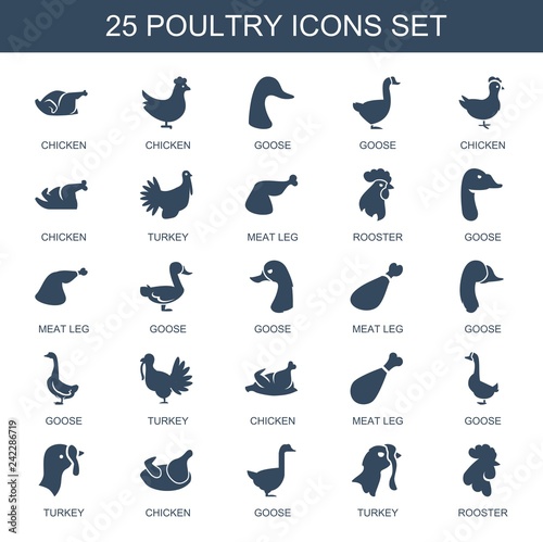 poultry icons photo