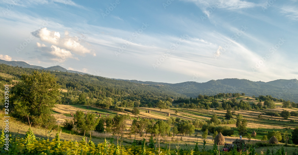 Naklejka premium Summer landscape in Bucovina, Romania