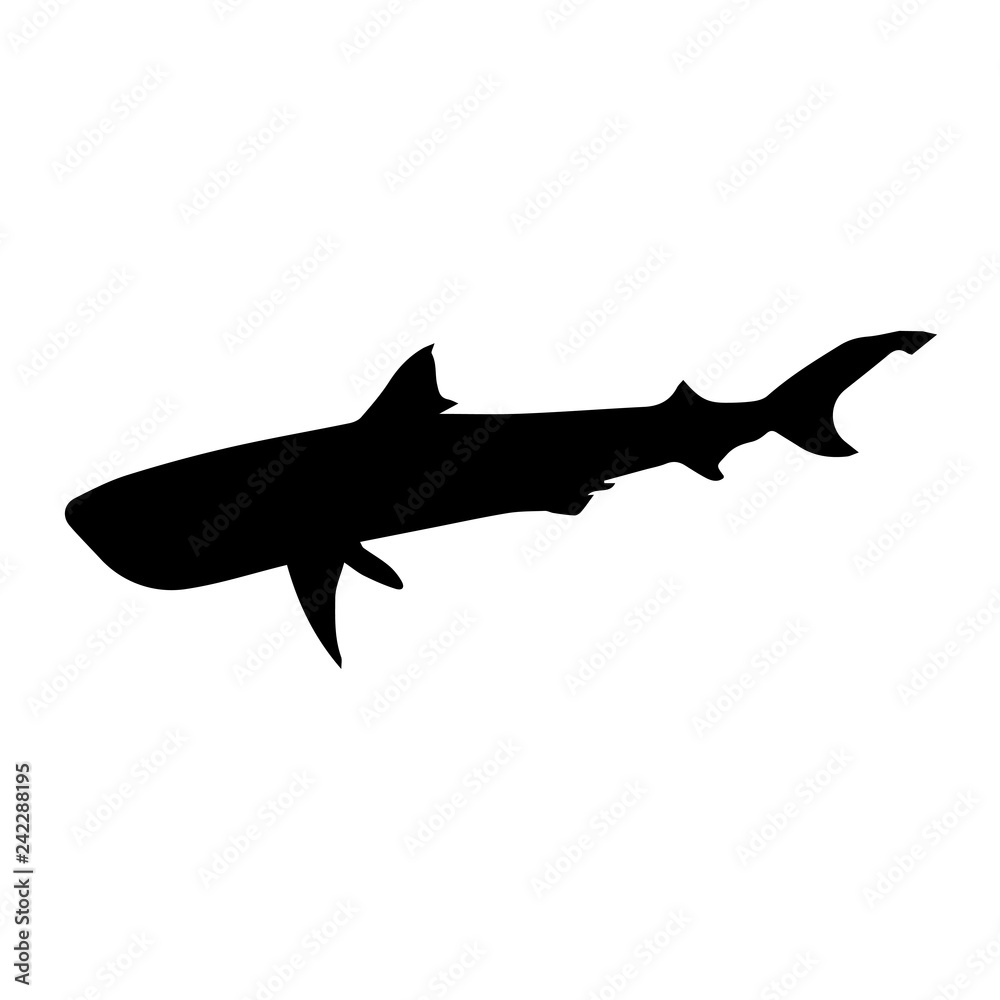Obraz premium black silhouette shark