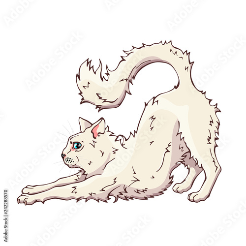 Vector colorful illustration on the pets theme: fluffy cat. Cartoon character. Domestic animal. Isolated objects for your design.