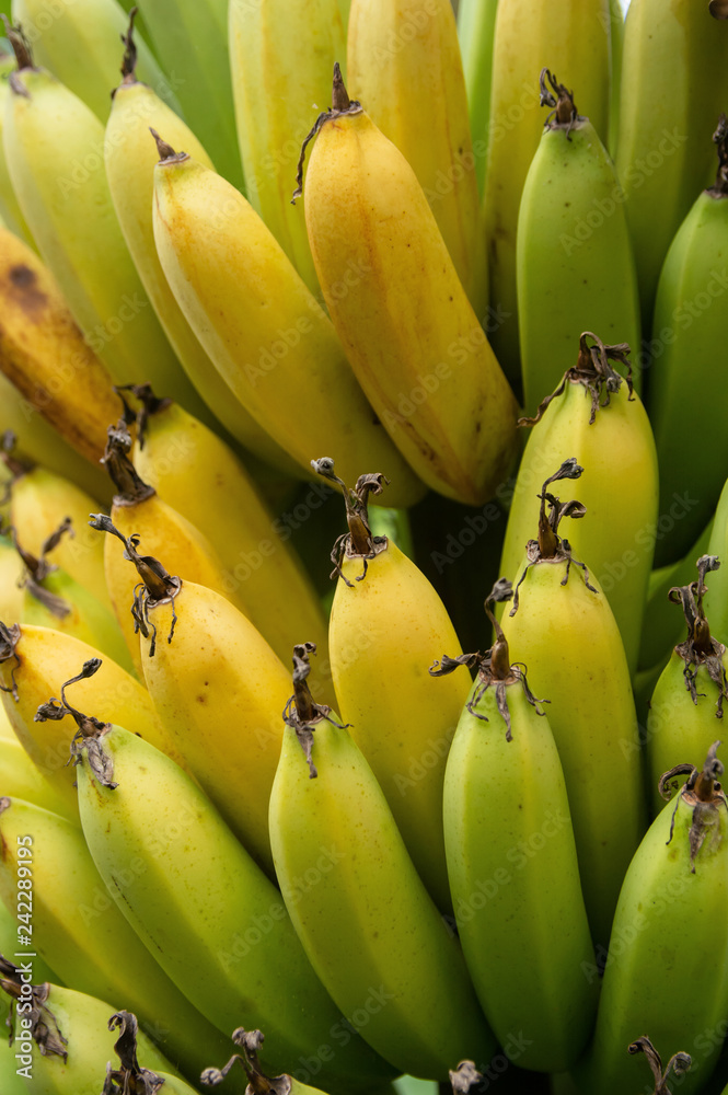 Close up of a bunch of green and yellow bananas