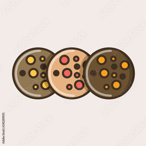 Choco chip cookies icon