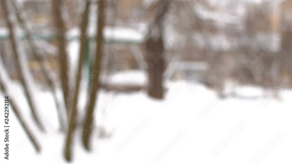 Dry branches covered with snow. Snowfall on the street. Close-up. Live video. HD Dry branches covered with snow. Snowfall on the street. Close-up. Live video. HD