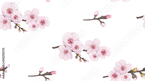 Spring pattern of sakura flowers. Handmade Seamless pattern in oriental style. Pink on white fond. Design element for textiles, wallpaper, packaging, printing.
