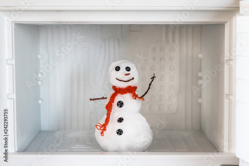 Snowman in empty freezer, close up. Buildup of ice, cleaning and servicing concept. Funny diet idea.